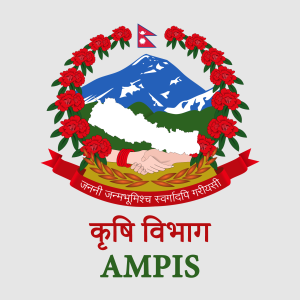 किसानका लागि ‘एएमपीआईएस नेपाल’ एप सञ्चालनमा, १२ कृषि बजारको दैनिक मूल्य मोबाइलमै
